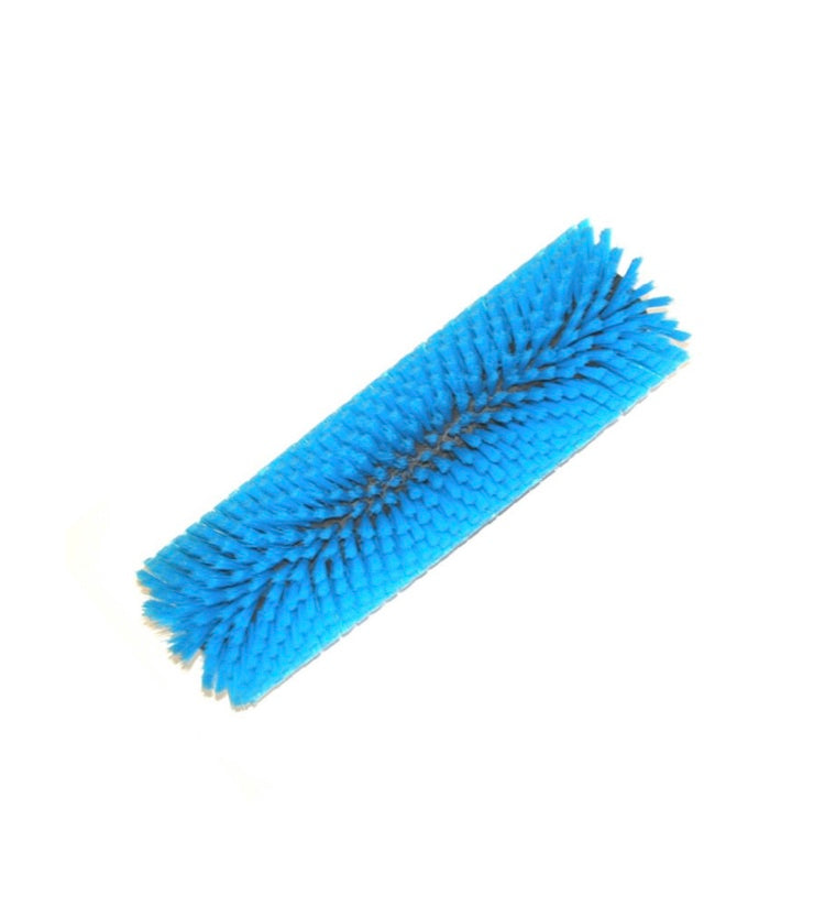 CA3002 Blue Standard Brush TM3